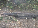 XR 22.08.2006 004